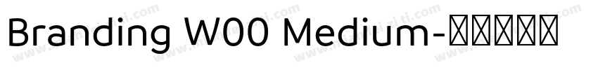 Branding W00 Medium字体转换
